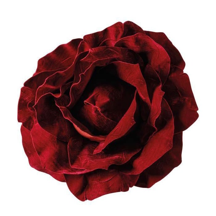 TESTA ROSA 757536 CM - BURGUNDY